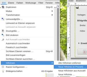 Zwei Hilfslinien, vertikal und horizontal