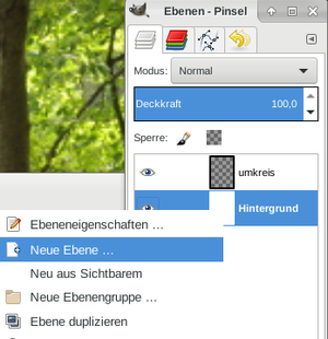 Die Umkreisebene im Ebenendialog